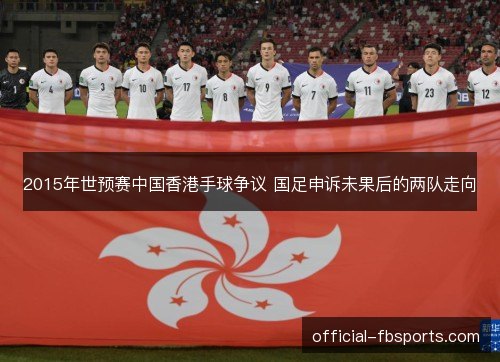 2015年世预赛中国香港手球争议 国足申诉未果后的两队走向